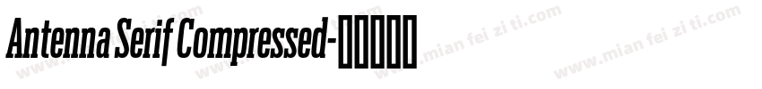 Antenna Serif Compressed字体转换